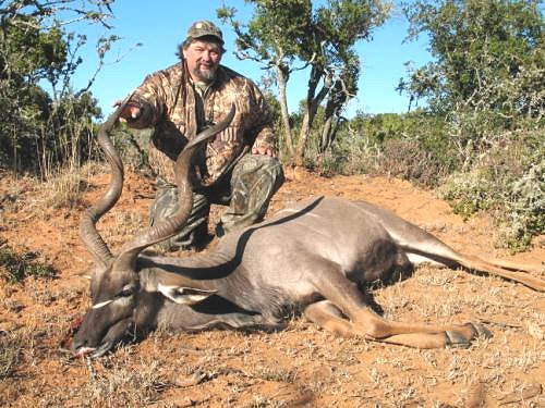 Cape Kudu